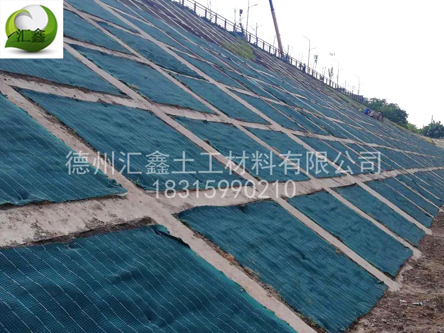 生態(tài)護(hù)坡毯